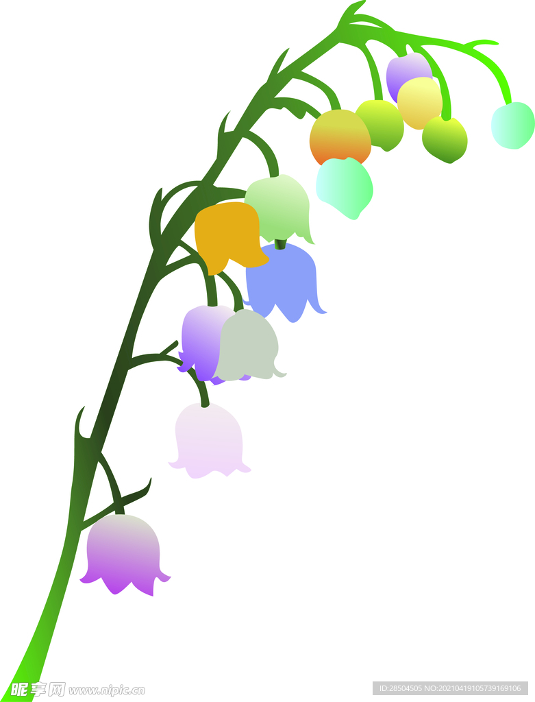 高清銀鈴花