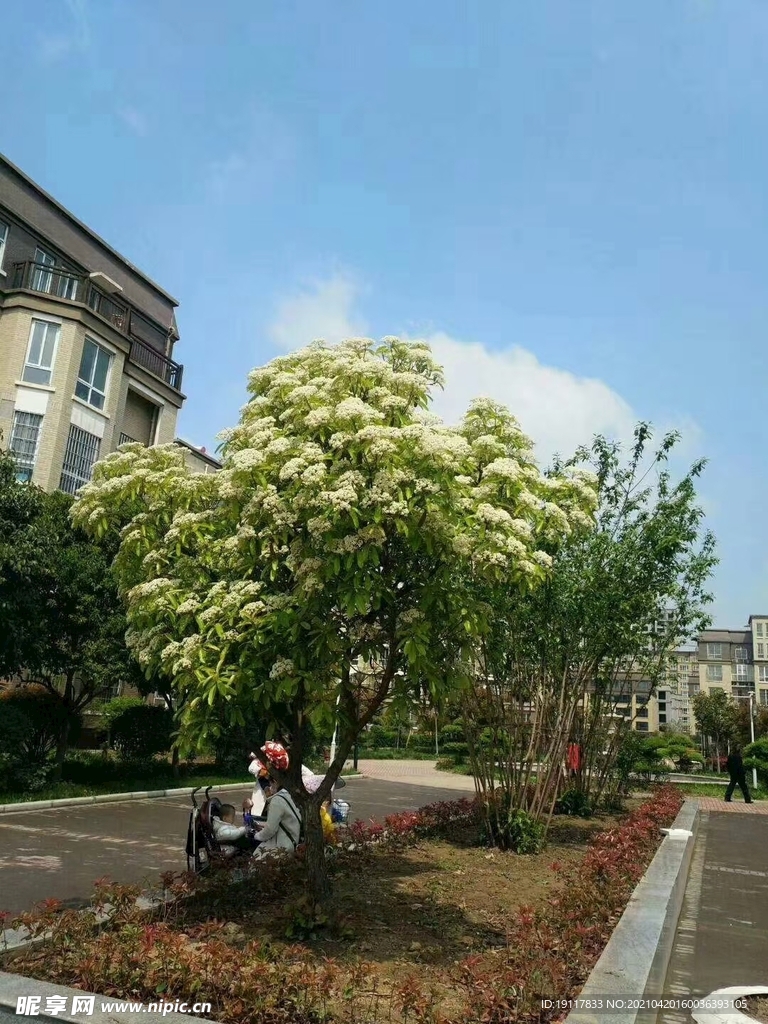 小區(qū)景色
