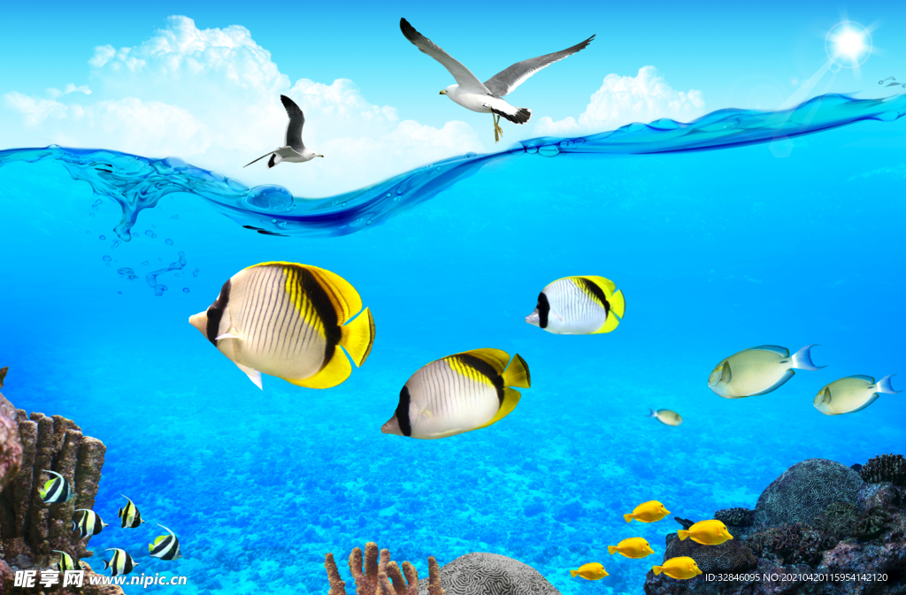海底海洋风景海里动物PSD分层