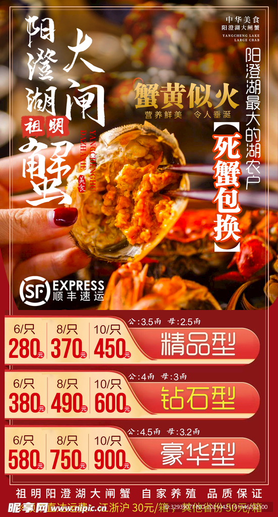 陽澄湖大閘蟹