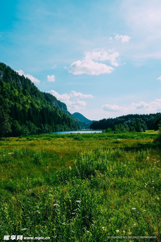 自然風景