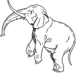 大象 动物 矢量图