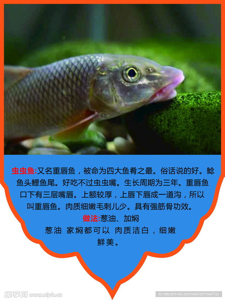 吊旗