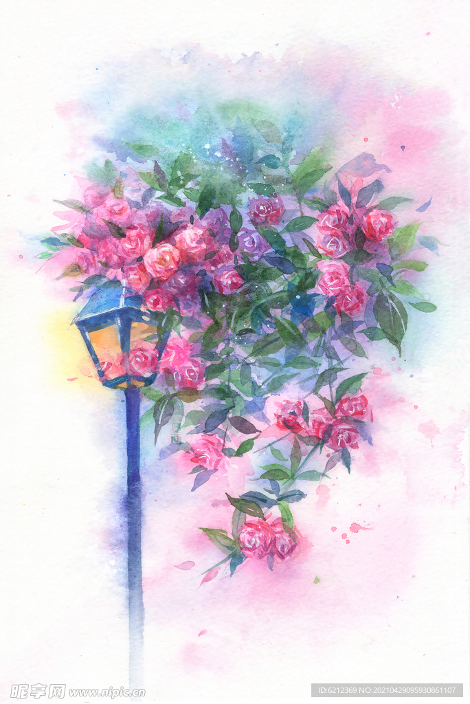 水彩花卉 夜灯蔷薇绘画步骤