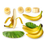 矢量香蕉水果图