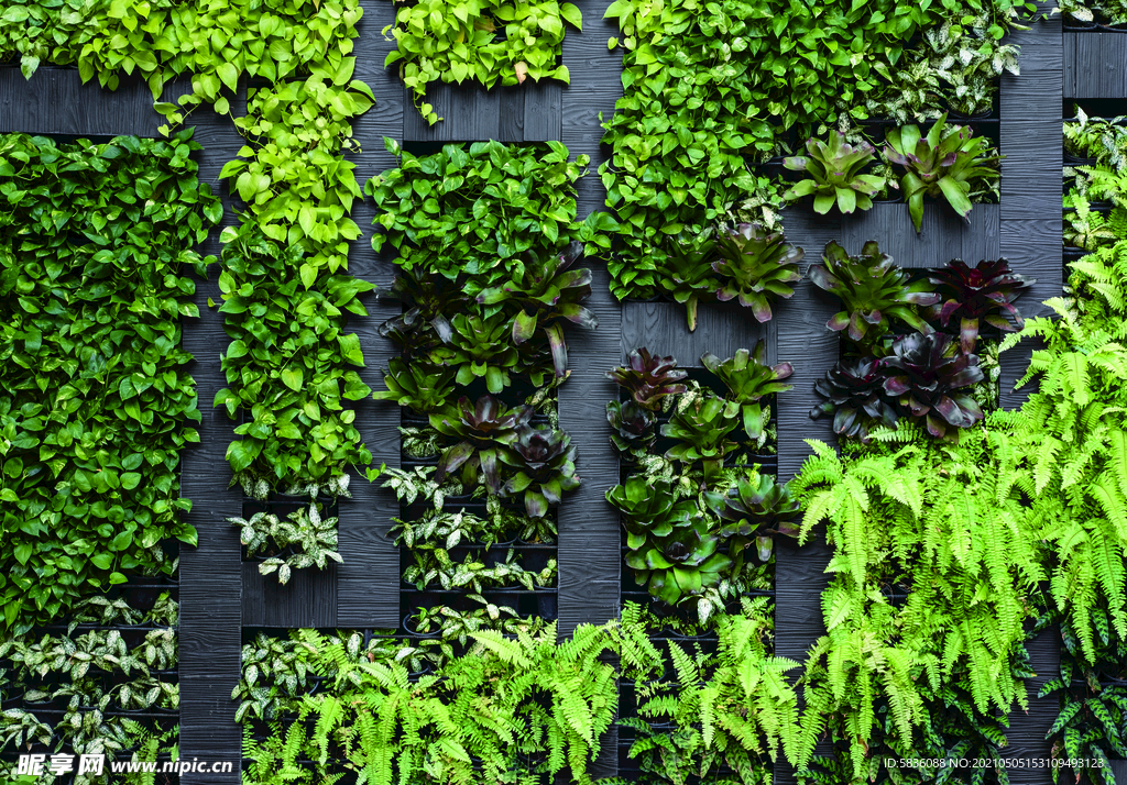 绿色植被绿化墙一角样板展示