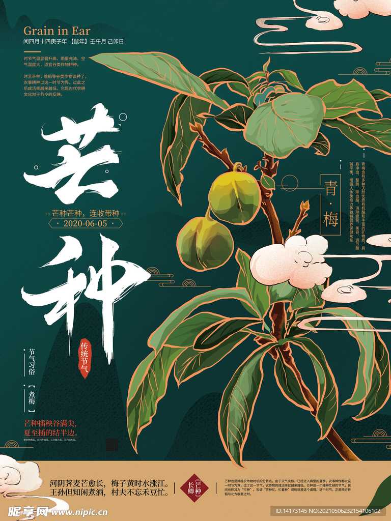 手绘中式文艺芒种节气海报