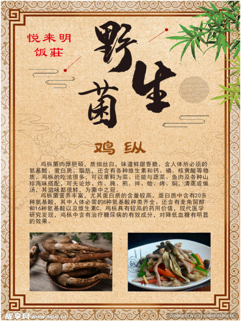 野生菌