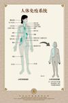 人体免疫系统海报
