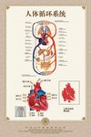 人体循环系统海报