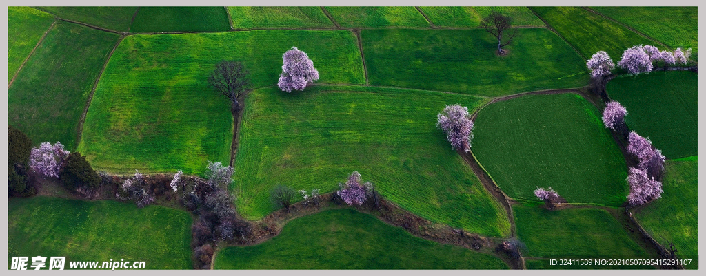 春田