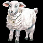 森系 水彩 手绘 农场 羊