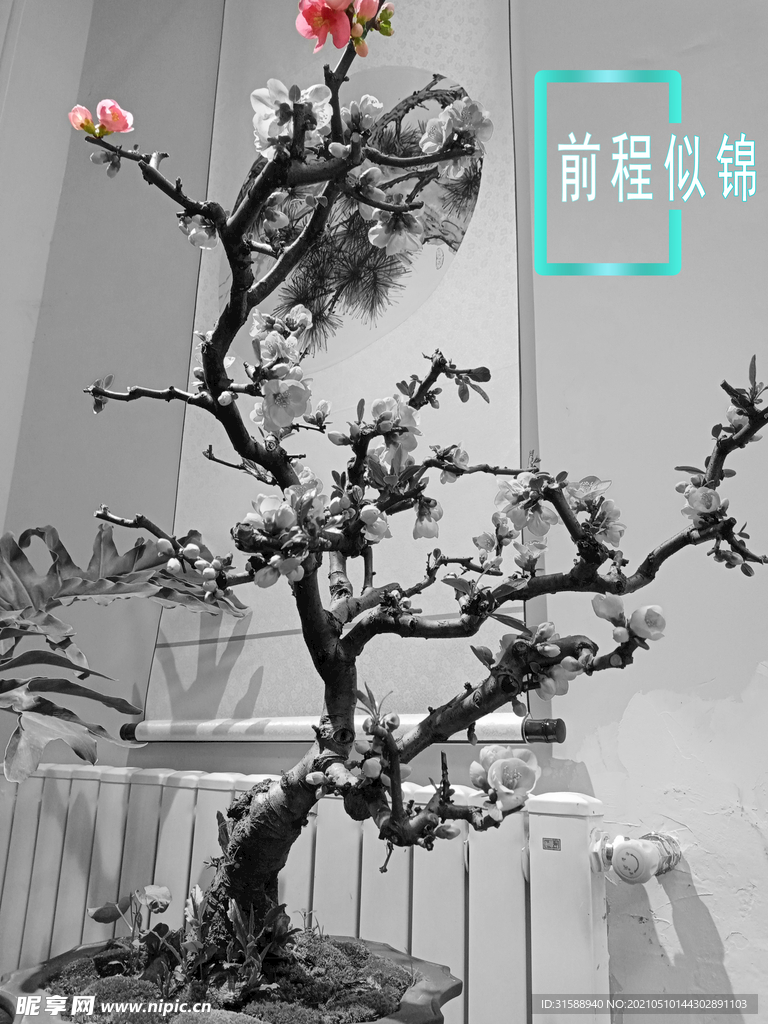 鴻運當頭