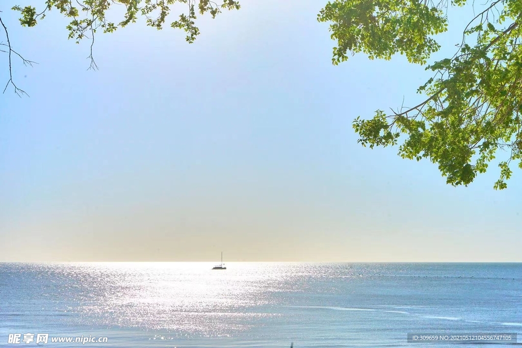 立夏的海濱
