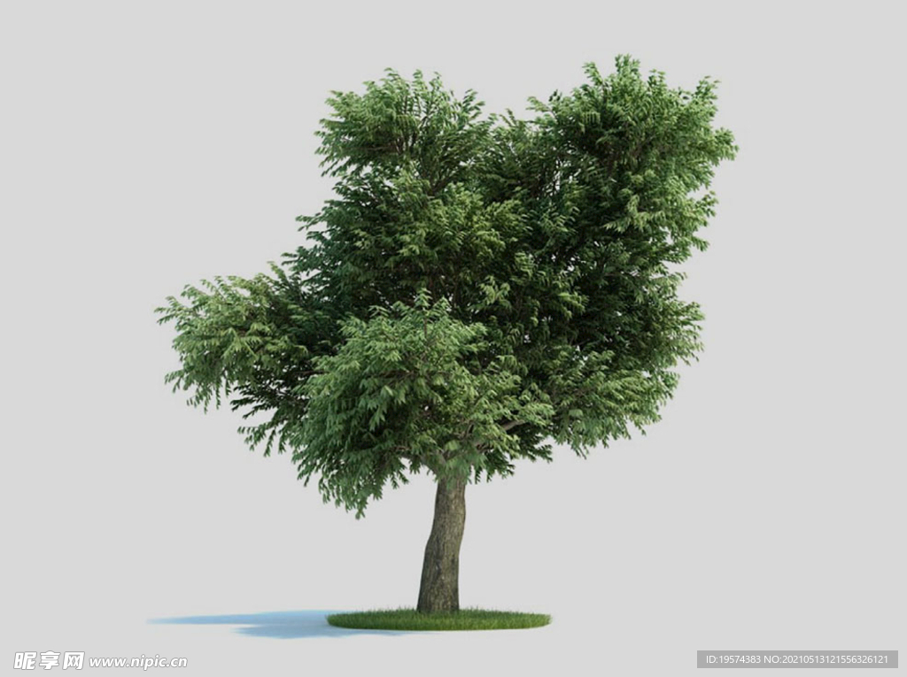 c4d模型道路景观树绿色植物