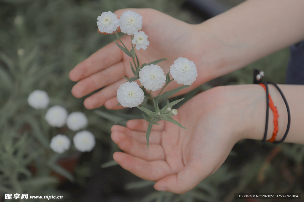 花草