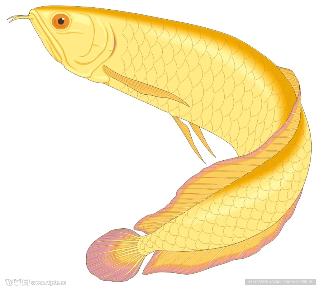 魚