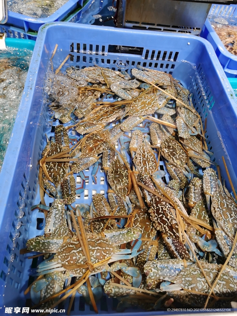 花蟹