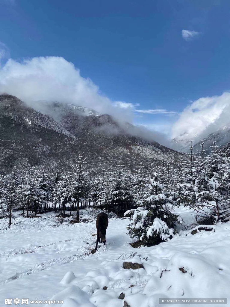 雪山哦