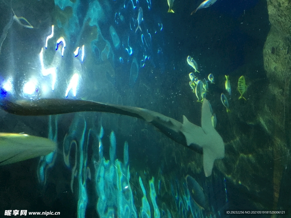 海洋館