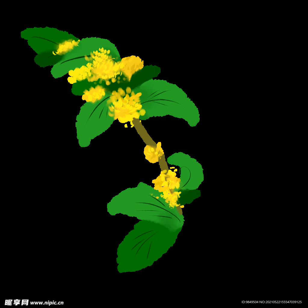 手繪桂花png免摳素材