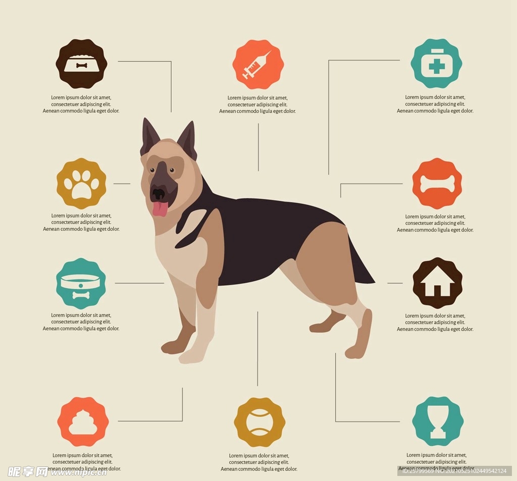狗信息图表