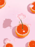 橙子 花 手绘 插画 背景