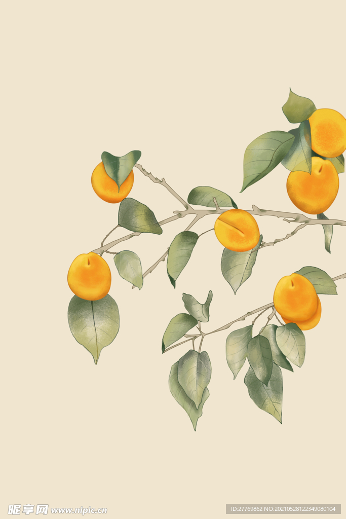 手绘杏树