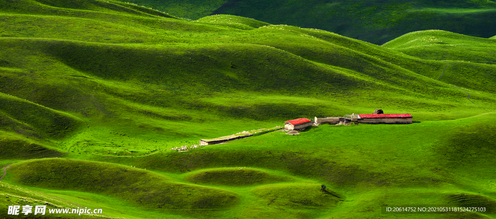 一望無際的草原風景