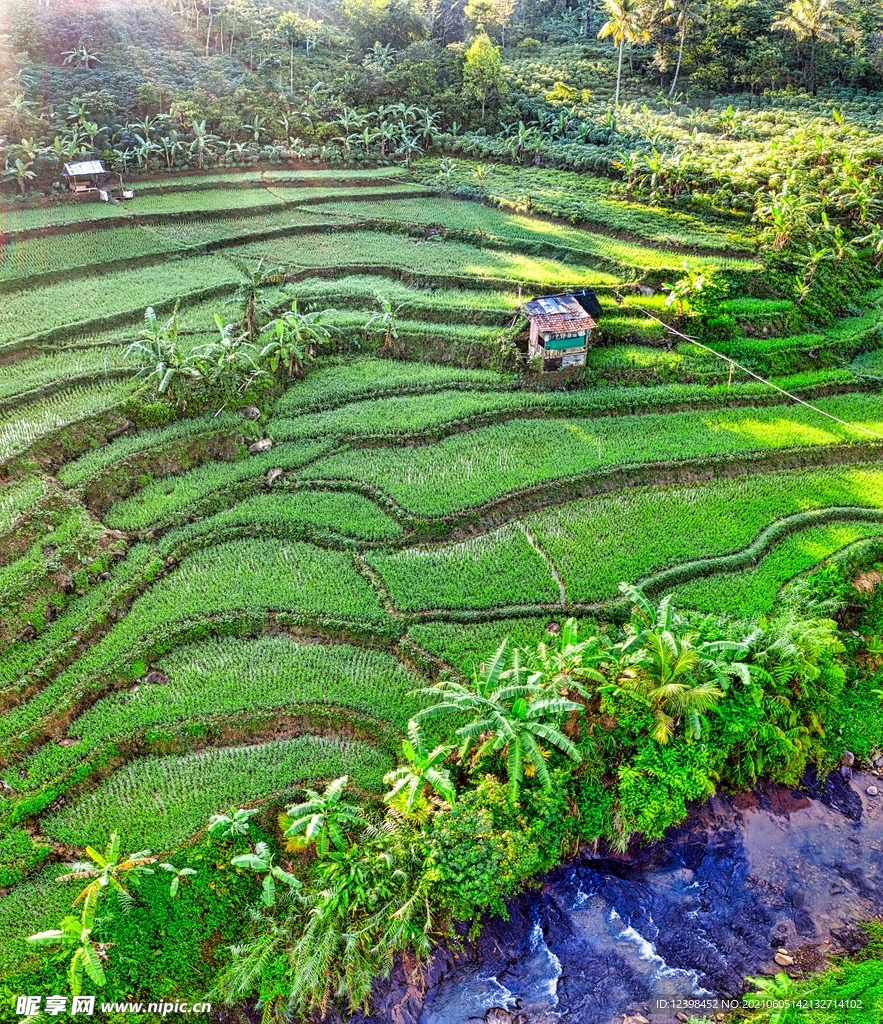 梯田風(fēng)光美景