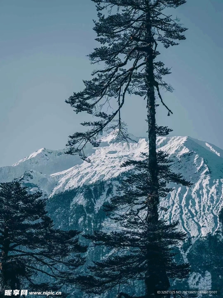 自然風景圖