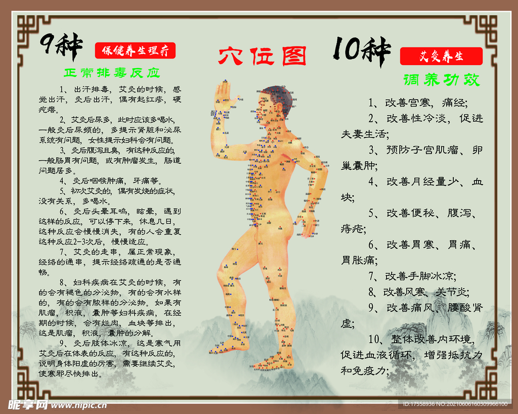 穴位圖