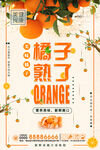 橙子海报