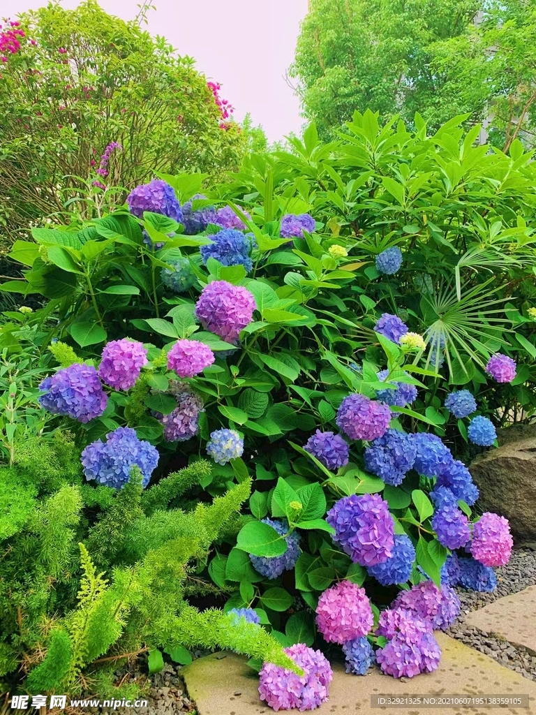 花花世界