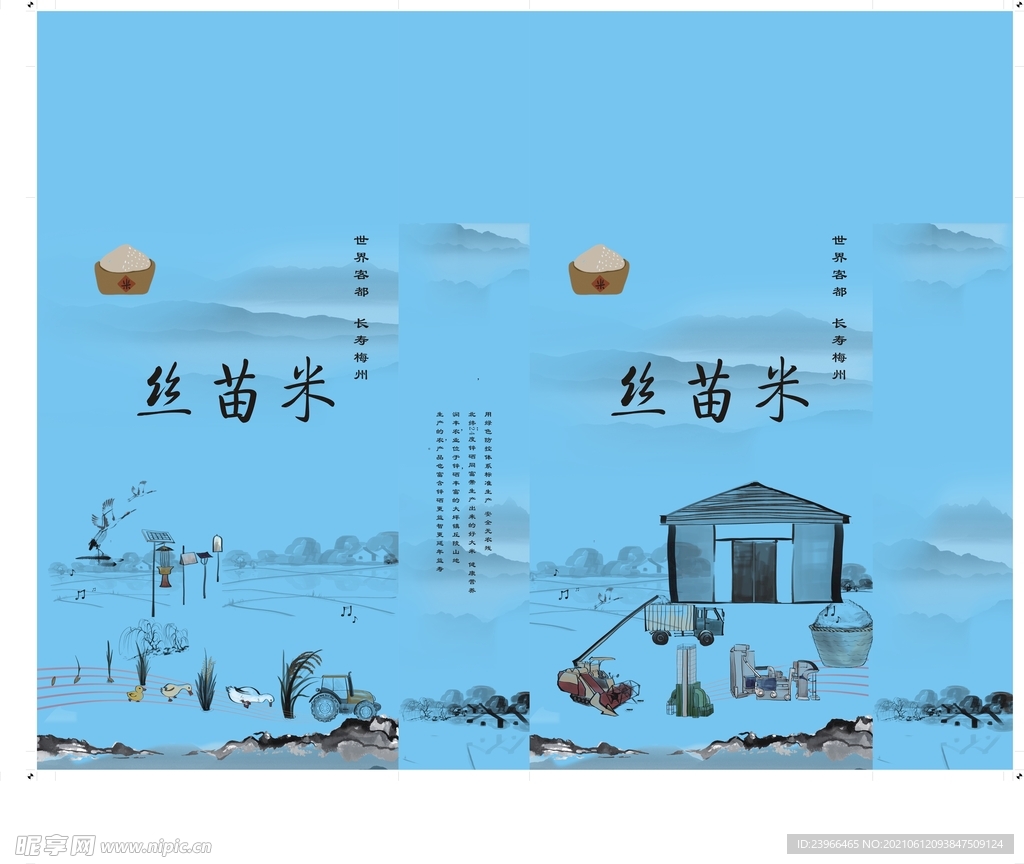 絲苗米