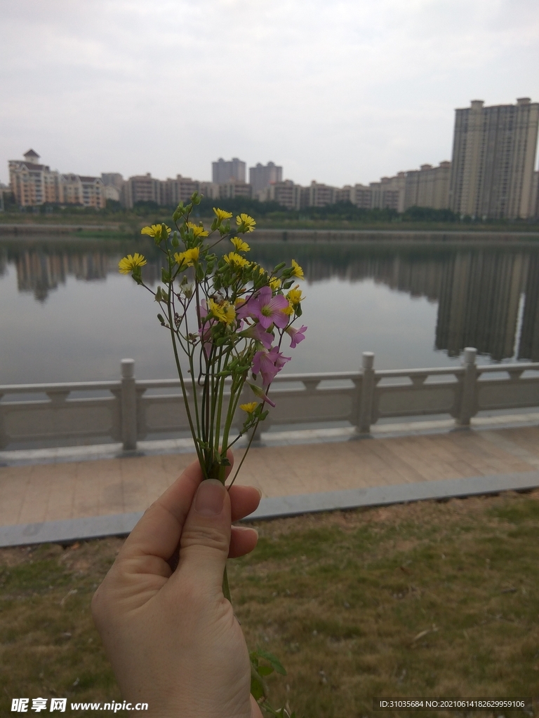 悠閑時光