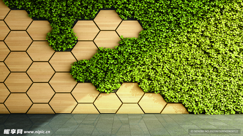 六边形艺术绿化园艺设计背景墙