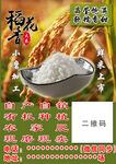 大米宣傳單
