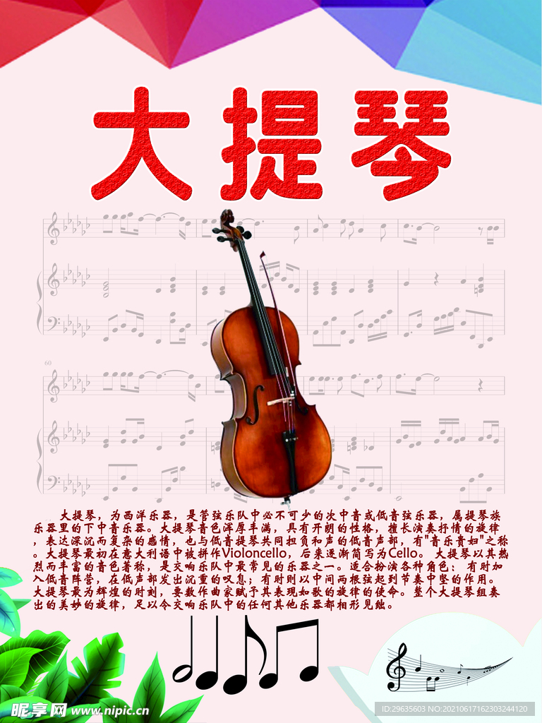 乐器展板系列之大提琴