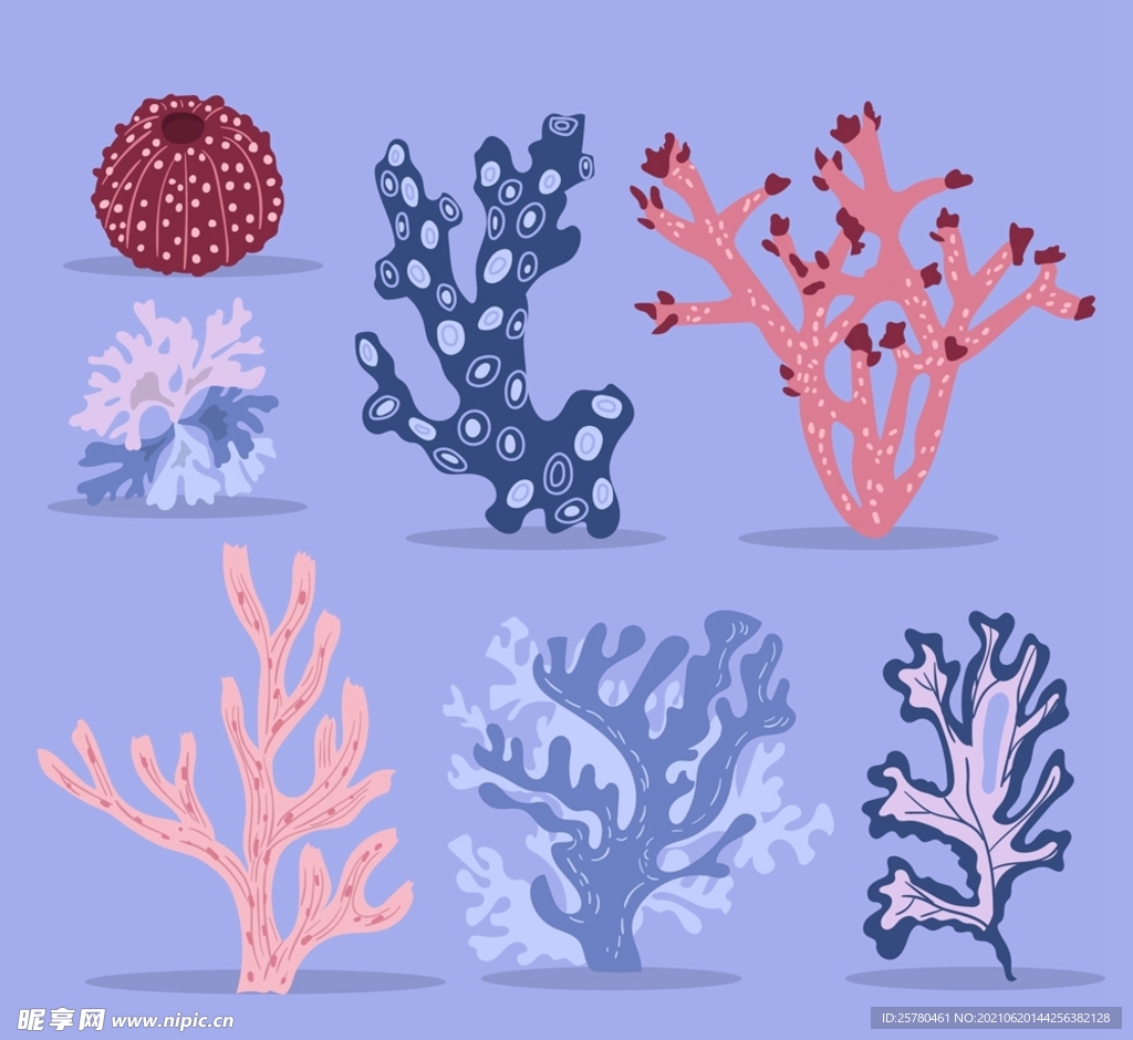 创意珊瑚设计