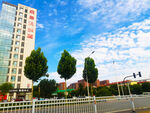 城市風景