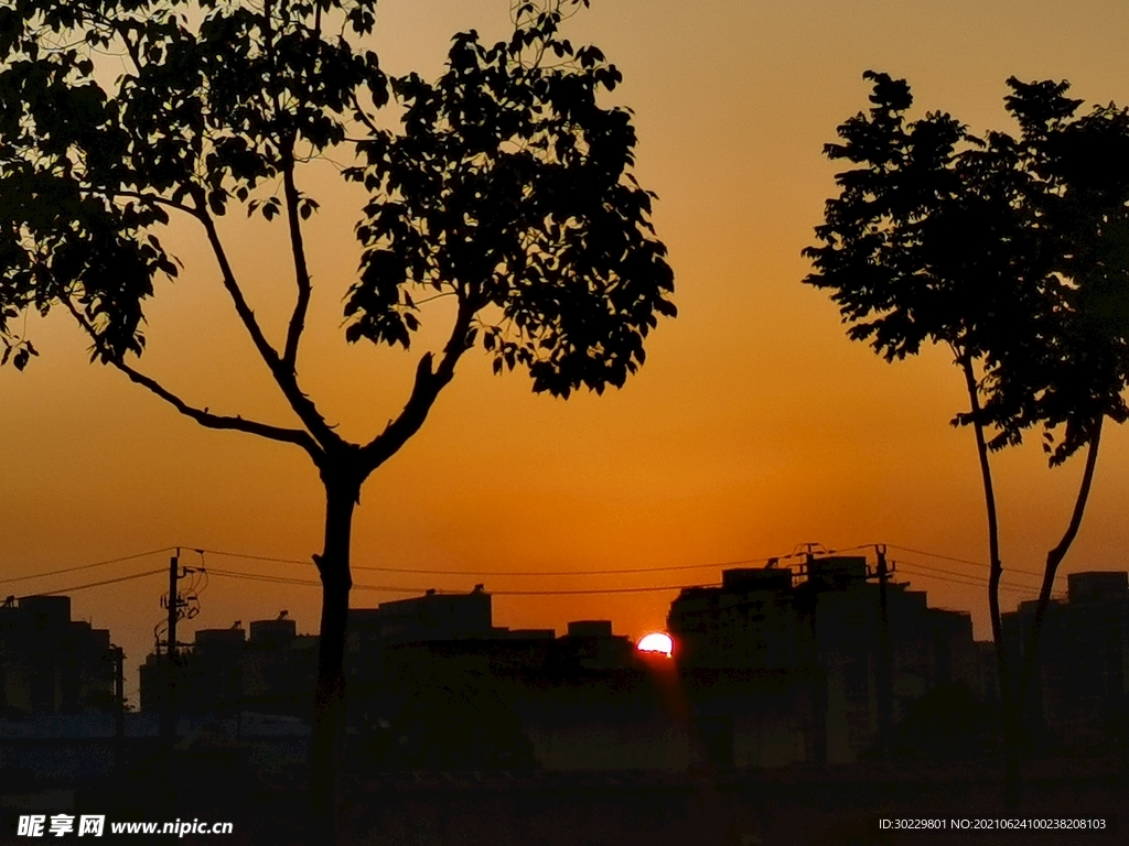 夕陽(yáng)