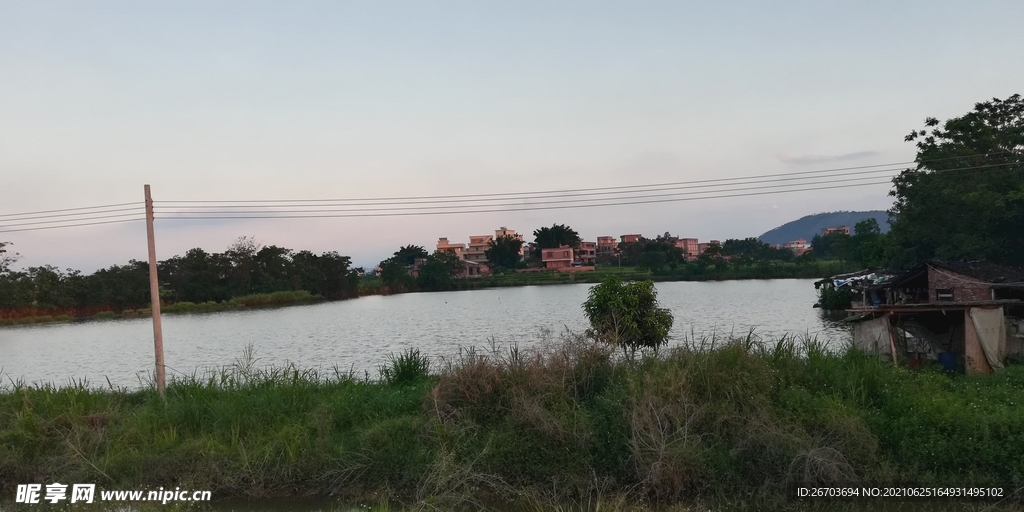 鱼塘风景