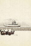 古典 工笔 雪景 背景图片