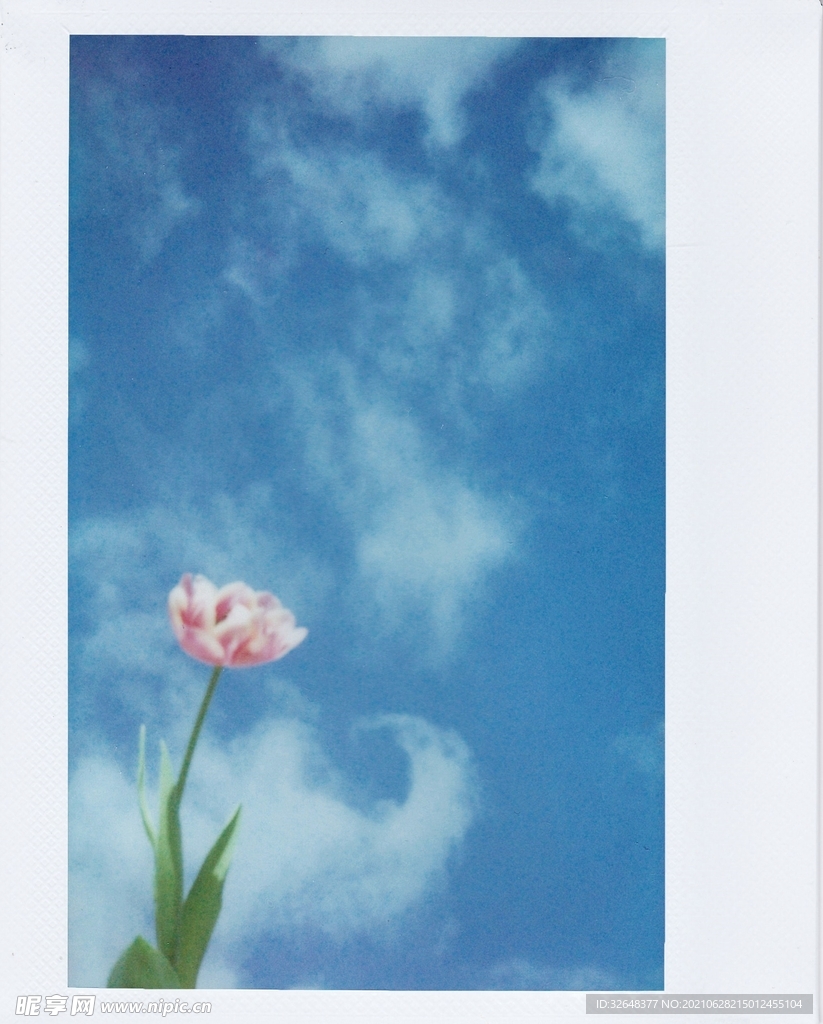 油畫花
