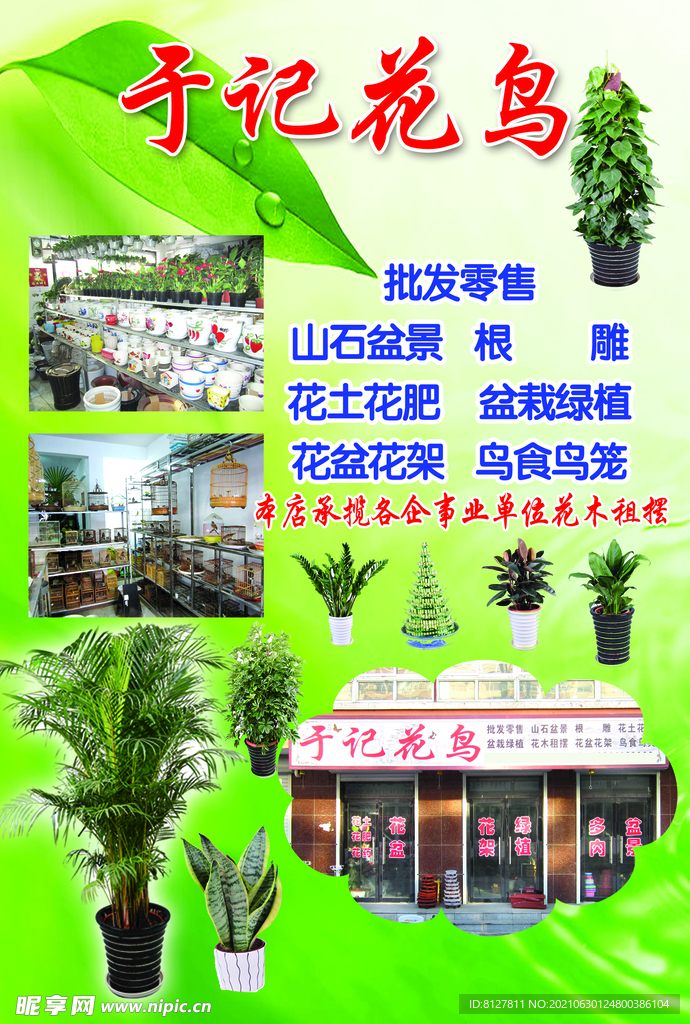 花鳥店