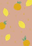夏日清新水果柠檬橙子壁纸