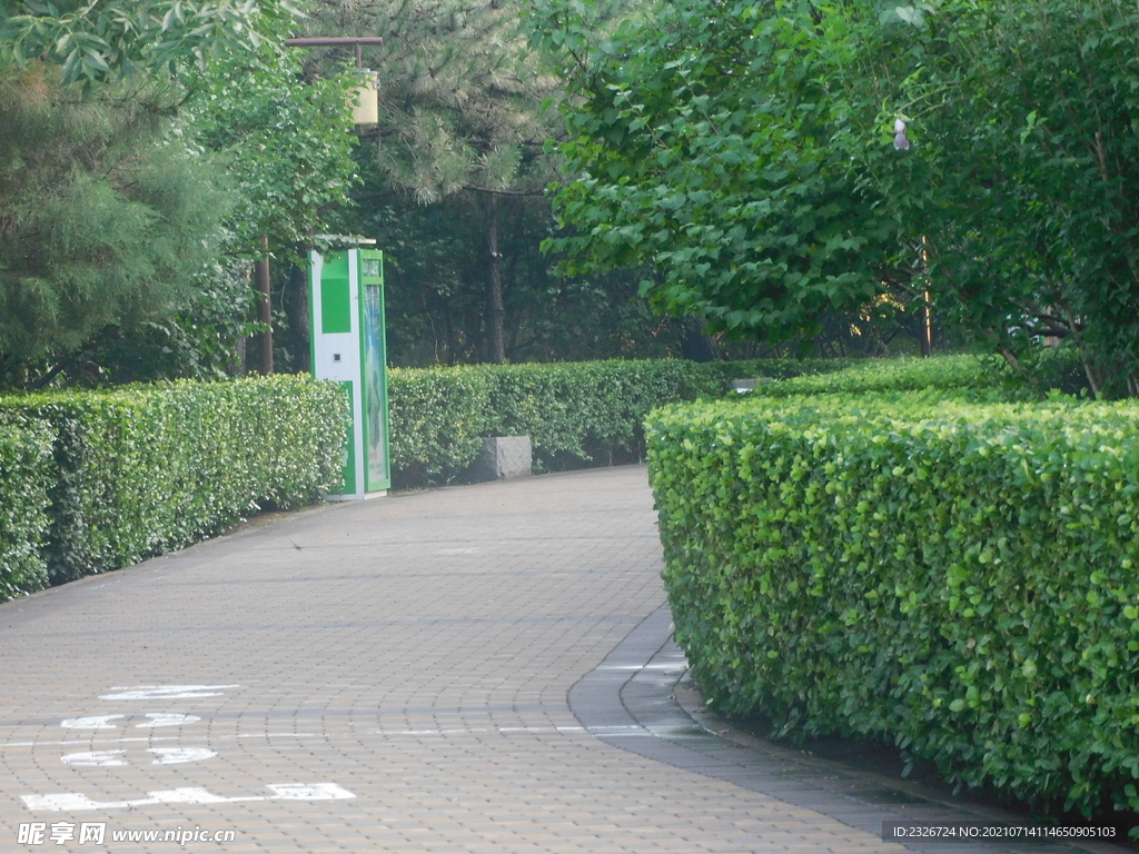 公園小路