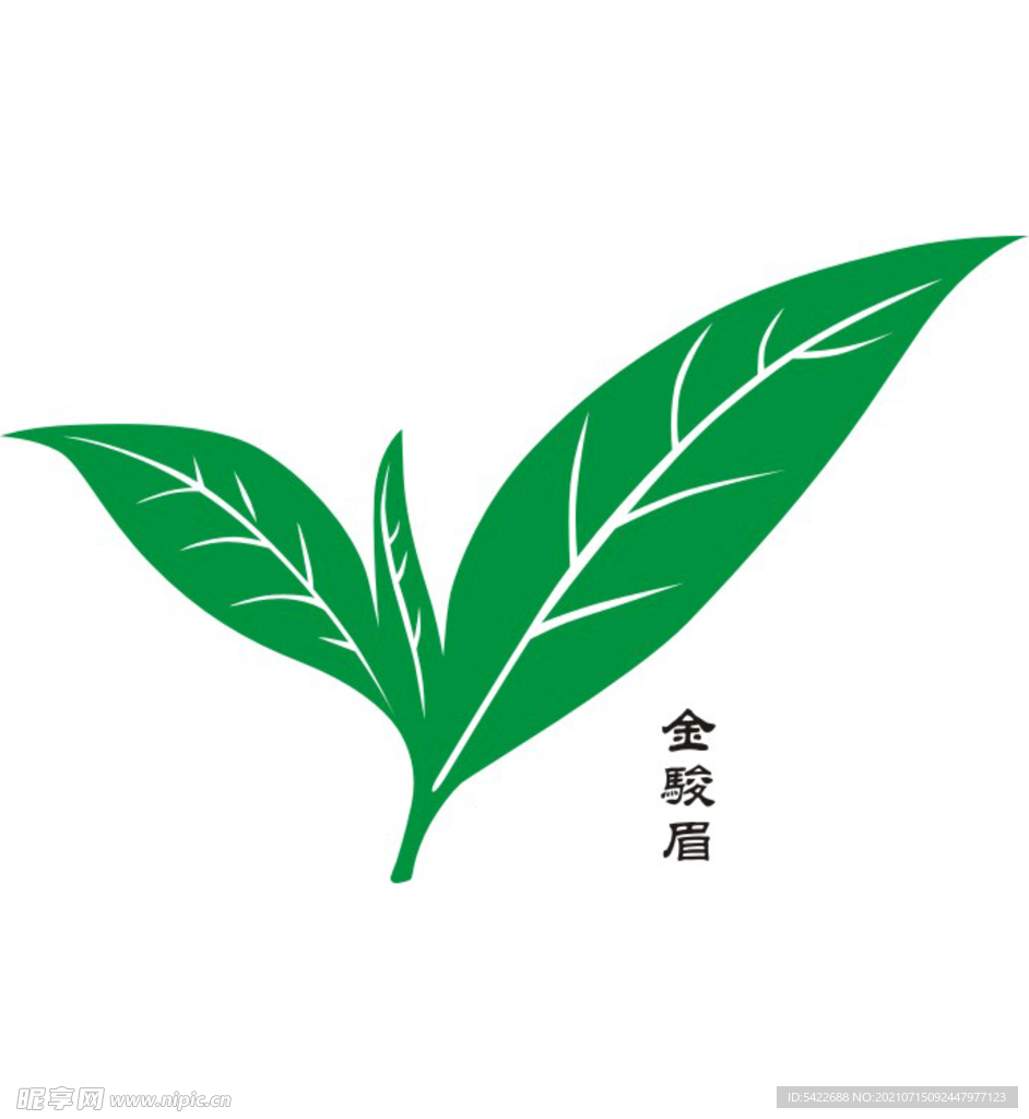 金骏眉茶叶插图