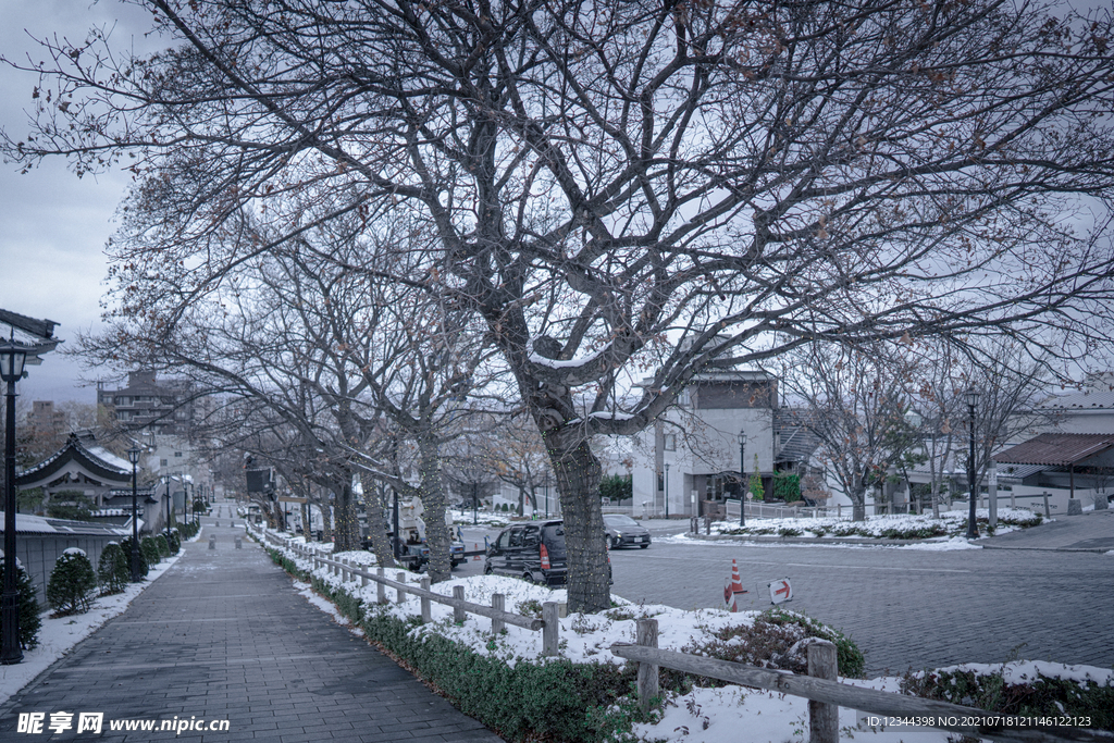 冬日函馆街景
